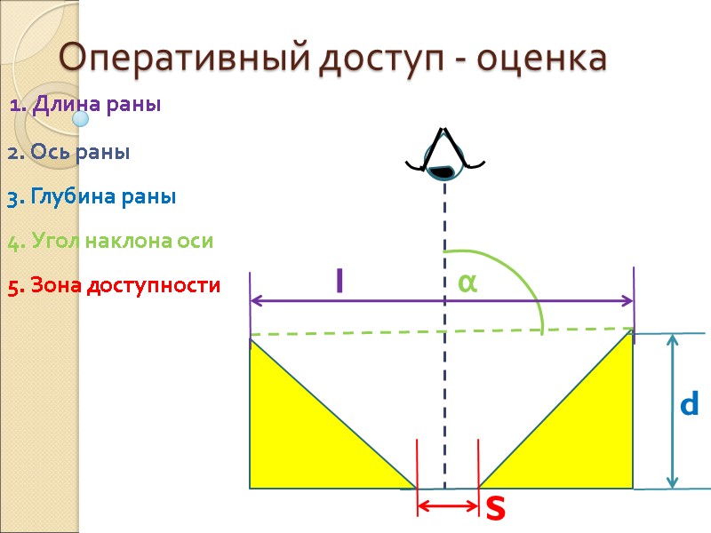 Оперативный доступ - оценка 1. Длина раны α d l S 2. Ось раны